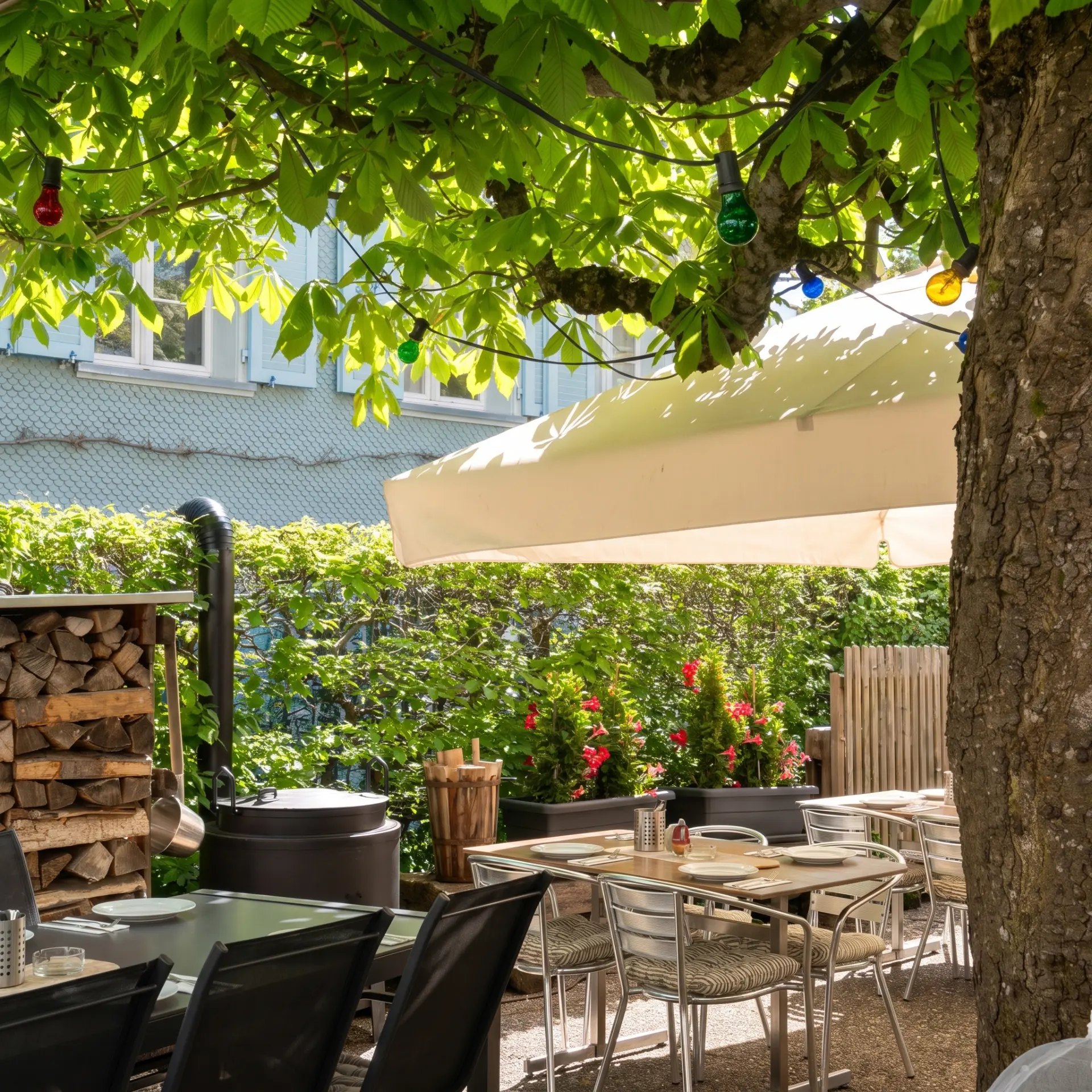 Gartenrestaurant der Traube unter dem Kastanienbaum mit Lichterkette